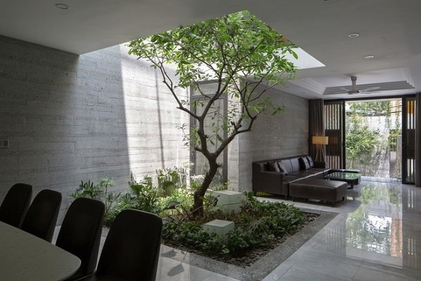 Trồng cây xanh nhằm điều hòa không khí trong nhà