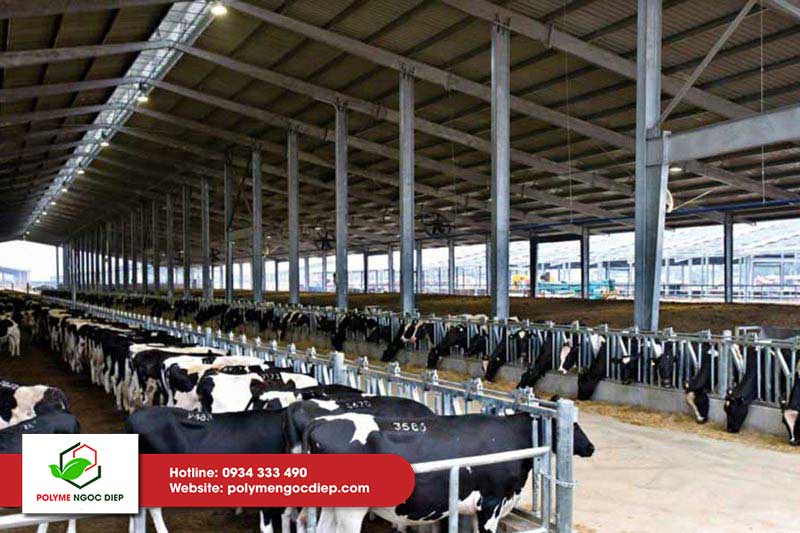 Lợp mái tôn xốp nhưng hiệu quả chống nóng không cao