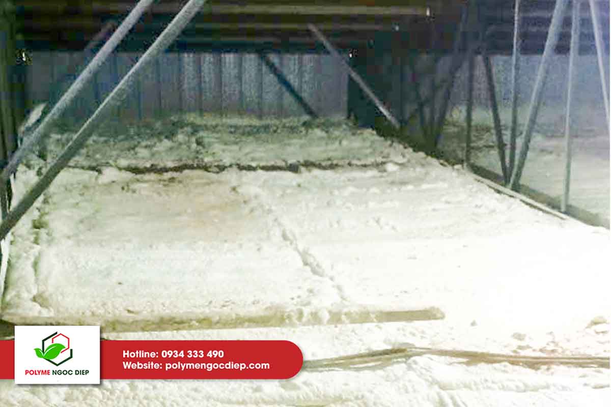 Cách nhiệt trại heo giống 11