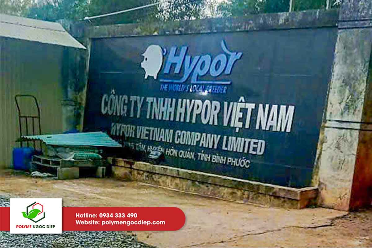 DỰ ÁN TRẠI HEO GIỐNG GGP HYPOR (BÌNH PHƯỚC): NÂNG CAO NĂNG SUẤT CHĂN NUÔI VỚI GIẢI PHÁP CÁCH NHIỆT TRẠI HEO MANG THAI 