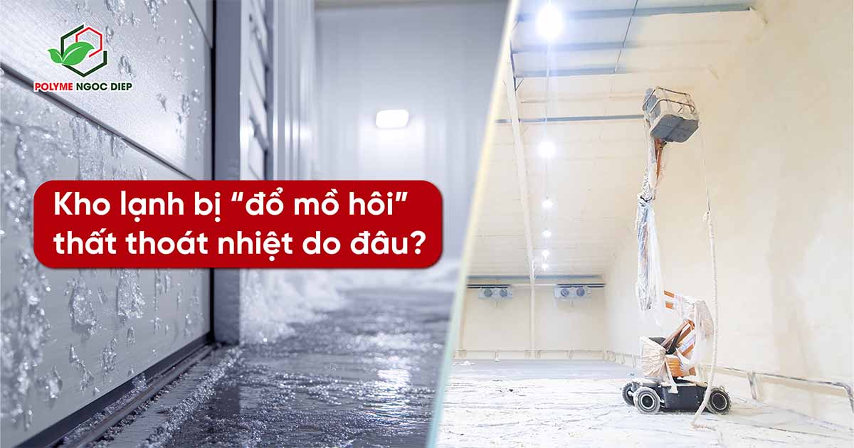Kho lạnh bị ‘đổ mồ hôi’, thất thoát nhiệt do đâu? Cách xử lý dứt điểm bằng PU Foam chuyên dụng