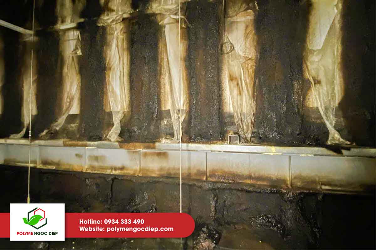 sửa chữa kho lạnh tại Long An 4