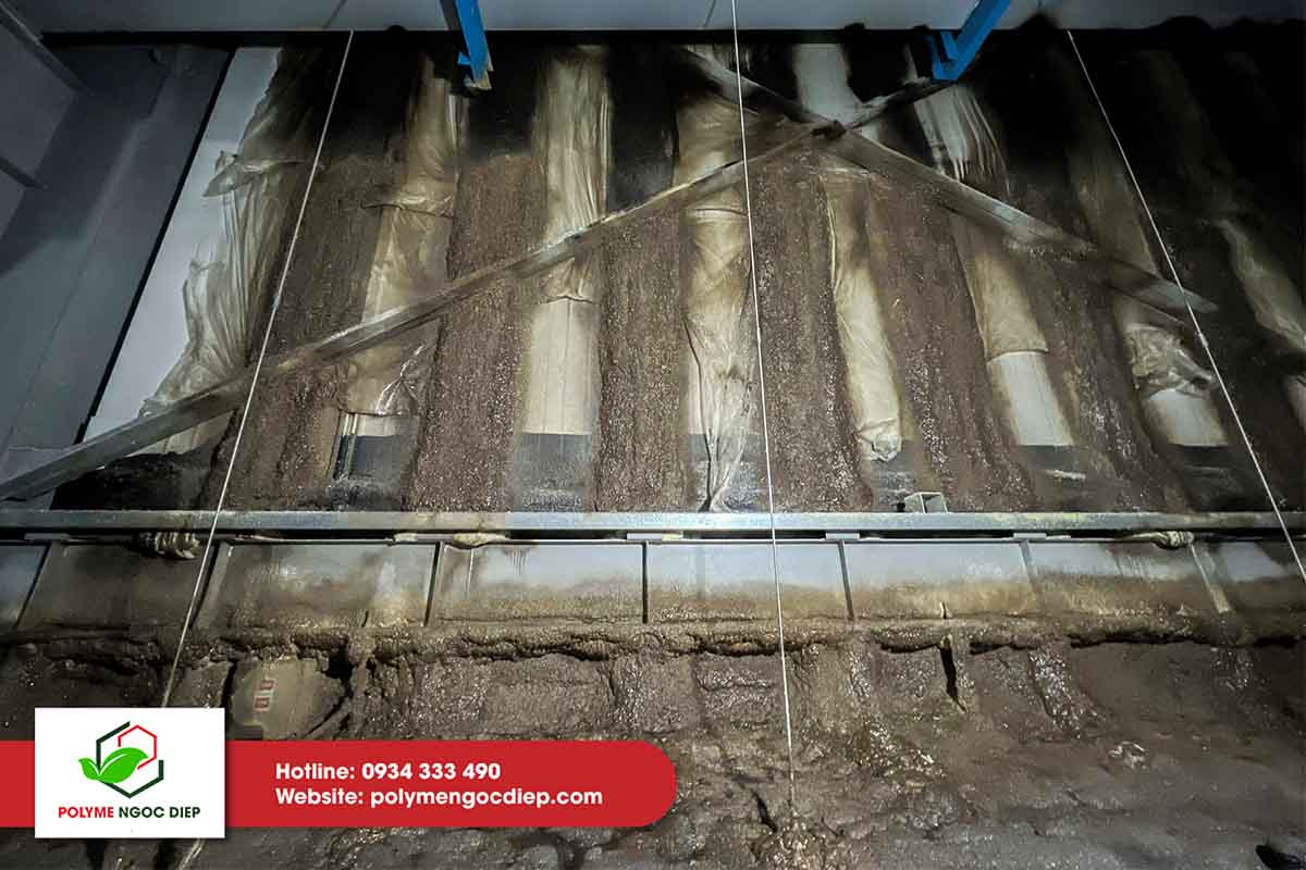 sửa chữa kho lạnh tại Long An 5