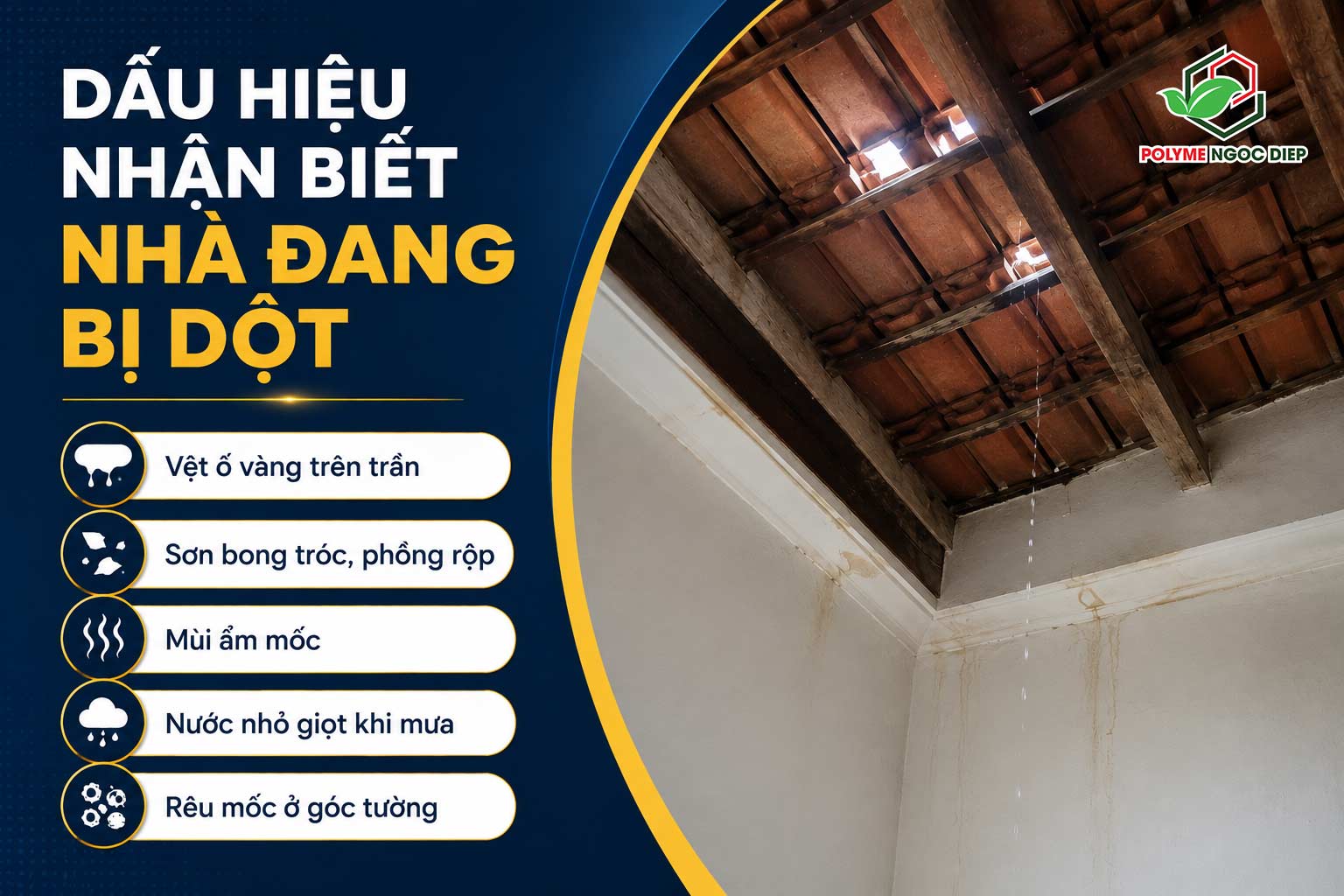 Dấu hiệu nhận biết nhà bị dột là gì?