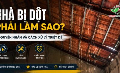 NHÀ BỊ DỘT PHẢI LÀM SAO? NGUYÊN NHÂN VÀ CÁCH XỬ LÝ TRIỆT ĐỂ